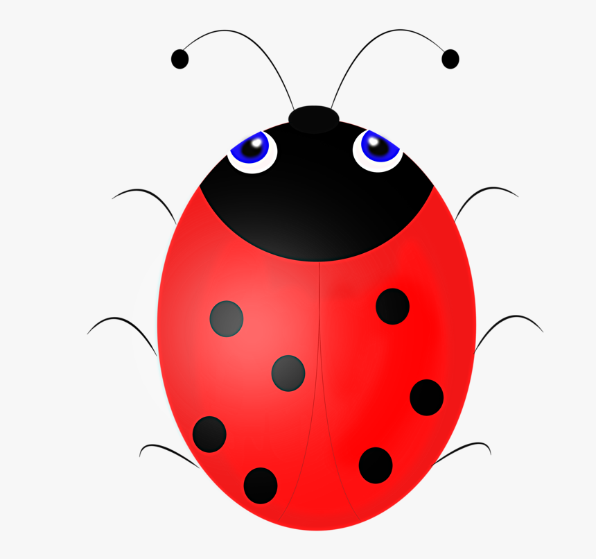 Ladybug, HD Png Download, Free Download