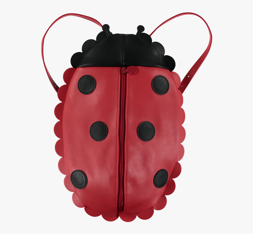 Ladybug, HD Png Download, Free Download