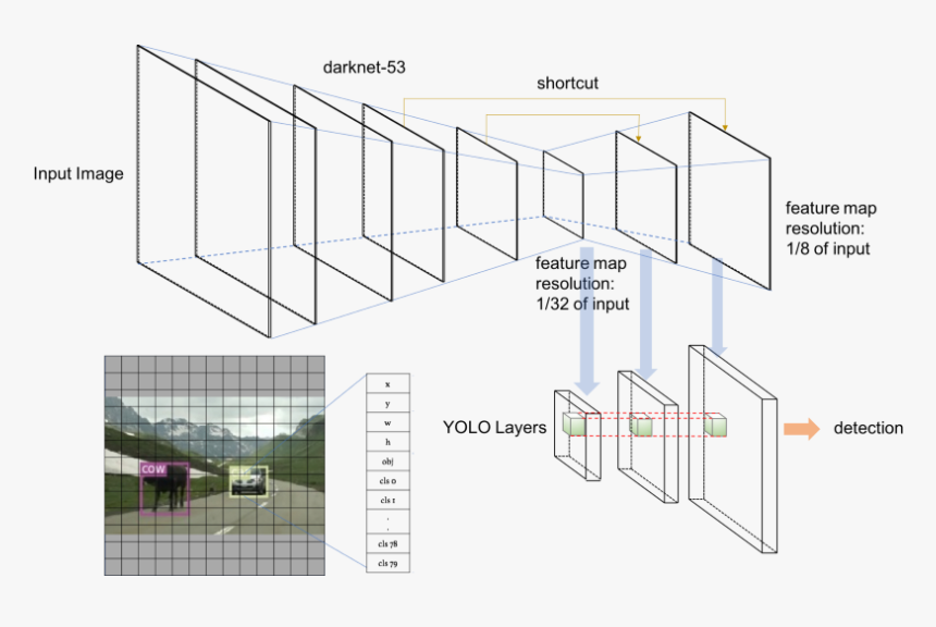 Pytorch Yolo V3, HD Png Download, Free Download