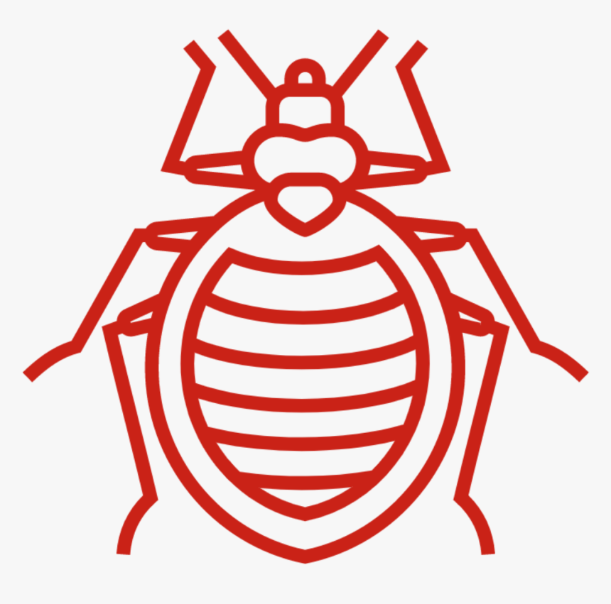 Bed Bugs Are Often Unaware Of Home Owners Diy Remedies - Outline Image Of Bed Bug, HD Png Download, Free Download