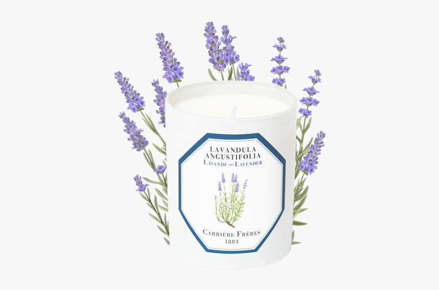 Lavender - Candle, HD Png Download, Free Download