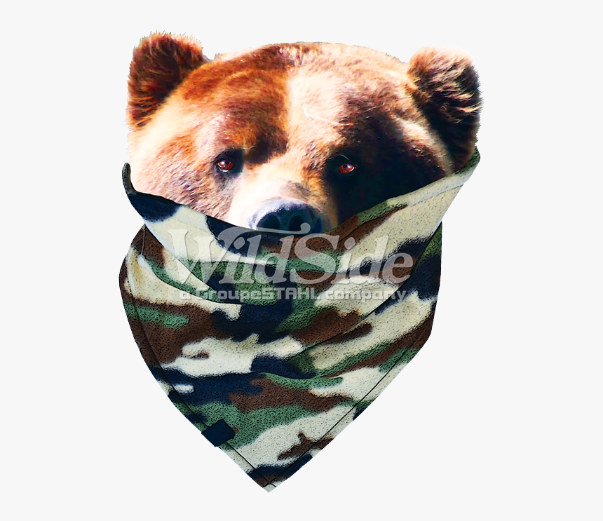 Transparent Bandit Mask Png - Grizzly Bear, Png Download, Free Download