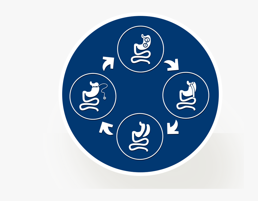 Cycle Of Icons Representing Different Bariatric Procedures - Circle, HD Png Download, Free Download