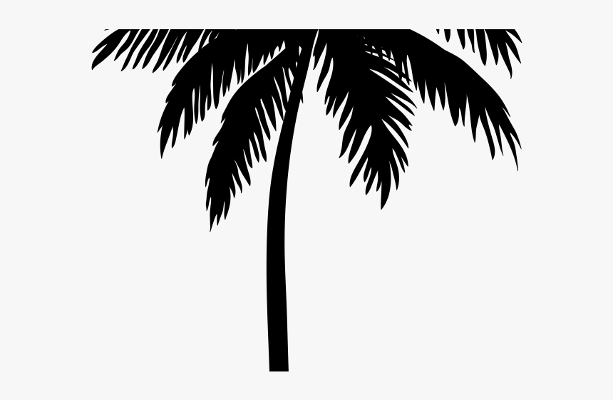 Palm Trees Clipart - Coconut Tree Silhouette Vector, HD Png Download, Free Download