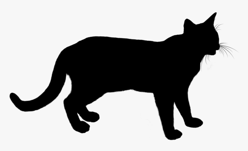 Cat Animal Silhouette - Cat, HD Png Download, Free Download