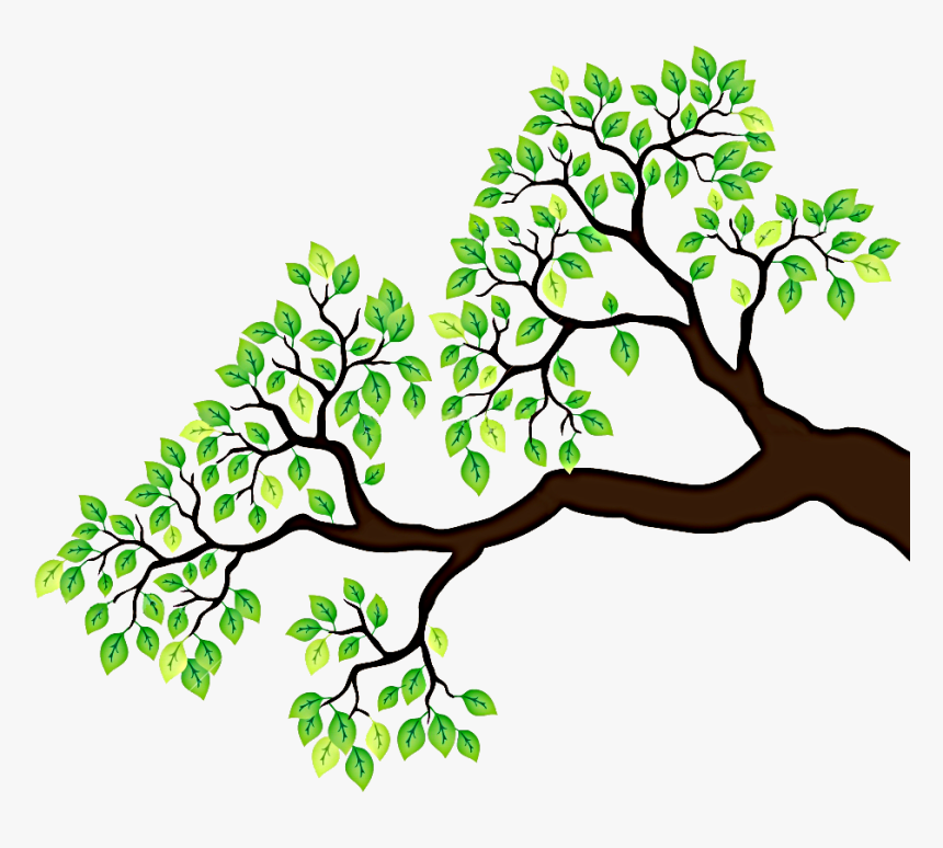 Branch Tree Drawing Clip Art - Tree Drawing With Branches, HD Png Download, Free Download