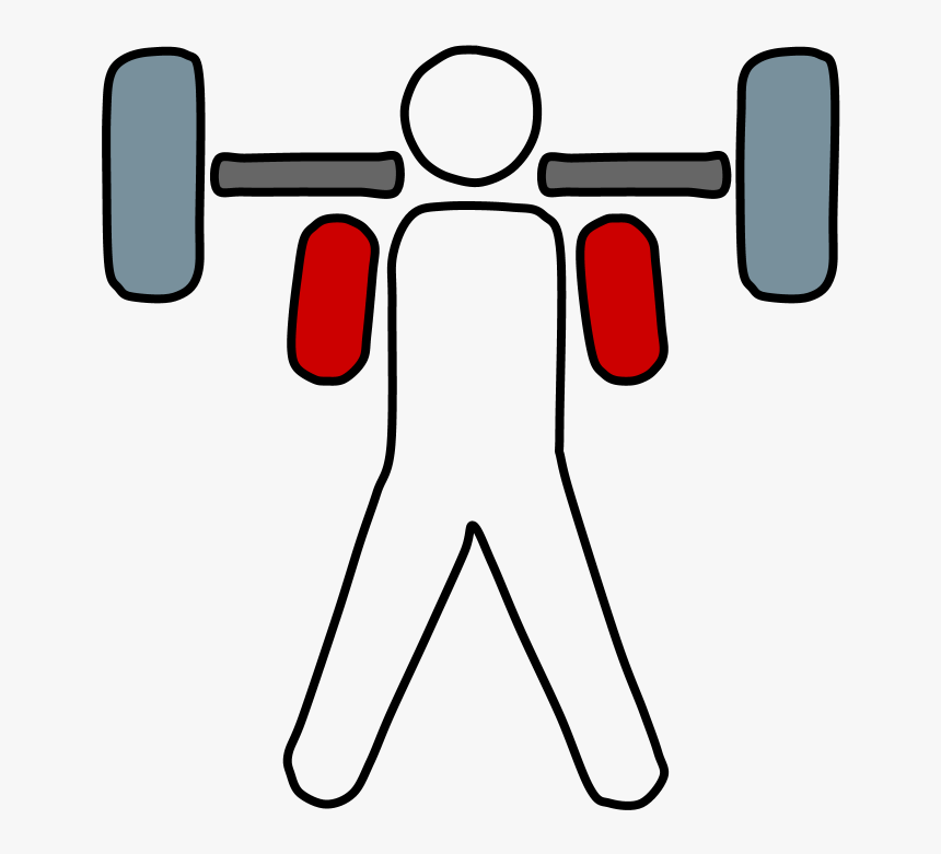 Weightlifter, Barbell, HD Png Download, Free Download