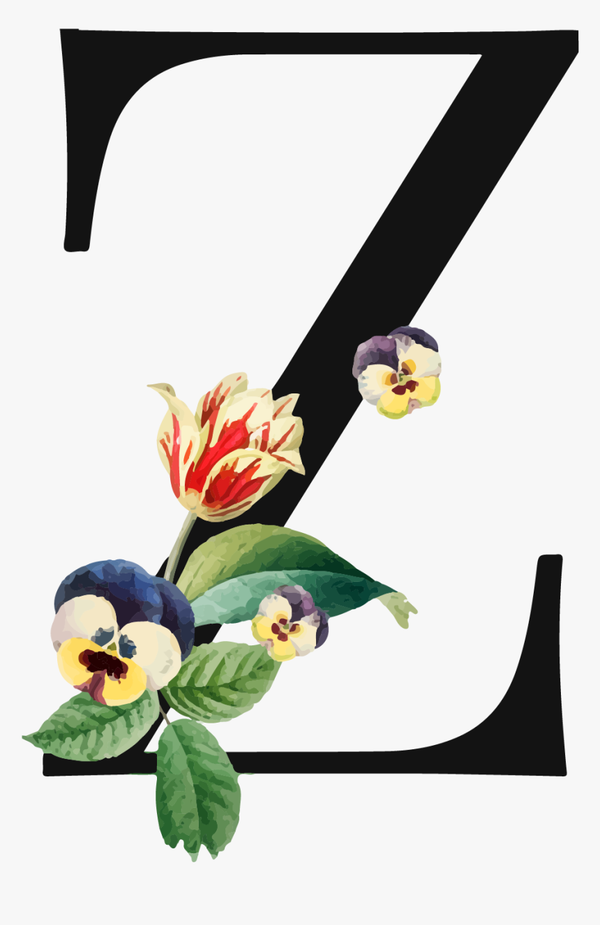 Letter Z Png Background Image - Iris, Transparent Png, Free Download