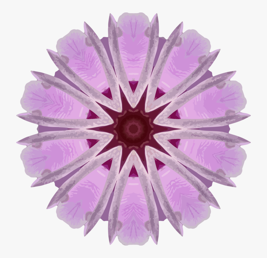 Pink,flower,lilac - Circle, HD Png Download, Free Download