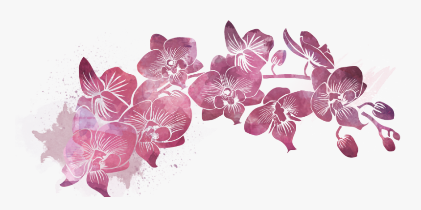 Orchids Of The Philippines, HD Png Download, Free Download