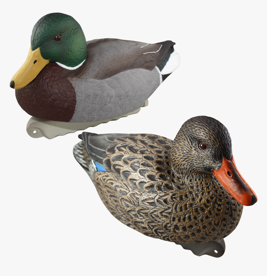 Mallard Duck Decoys, HD Png Download, Free Download