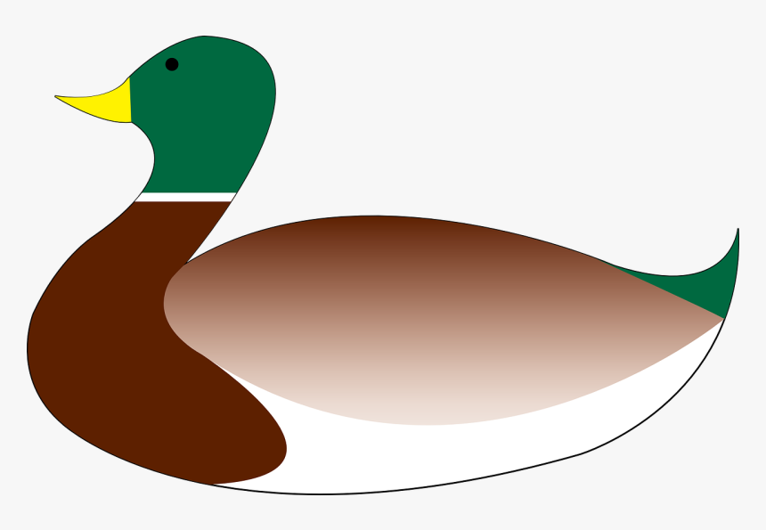 Pato Nadando Png, Transparent Png, Free Download