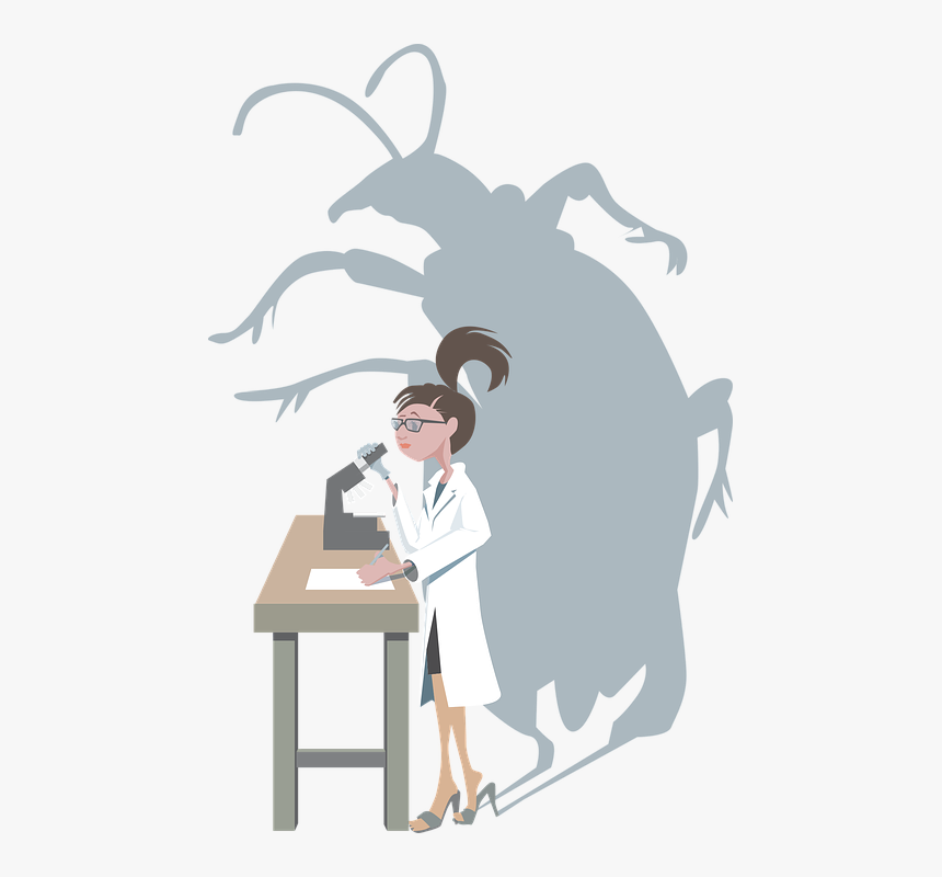 Bug, Research, Female, Insect, Beetle, Investigate - Cartoon Scientist Doing Research, HD Png Download, Free Download