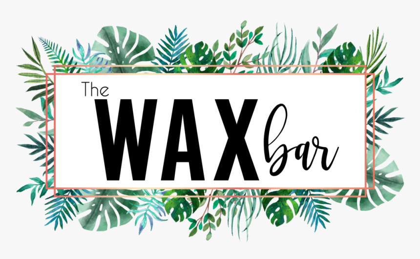 We - Wax Bar Valdosta Ga, HD Png Download, Free Download