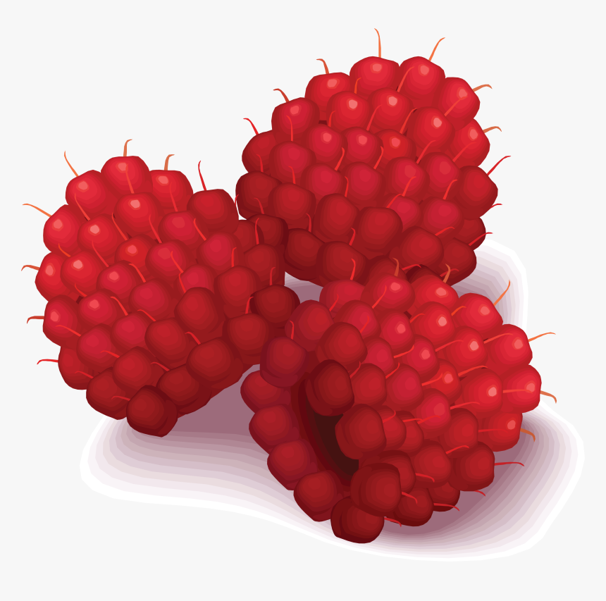 Raspberries Clipart, HD Png Download, Free Download