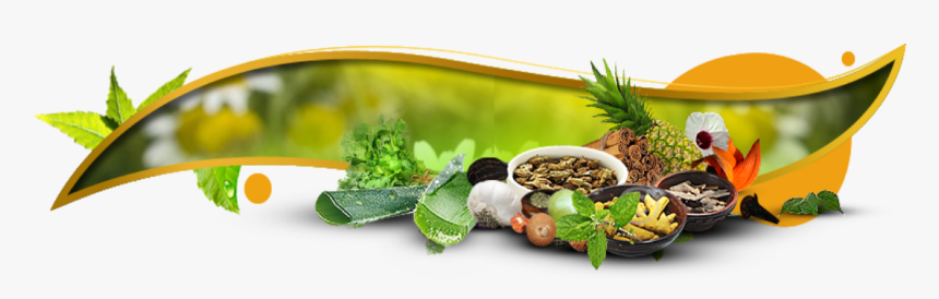 Transparent Herb Png - Ayurvedic Visiting Card Design, Png Download, Free Download