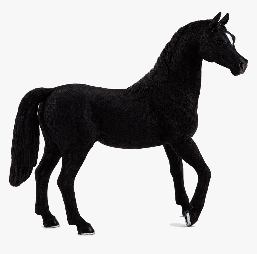 Schleich Black Arabian Stallion, HD Png Download, Free Download