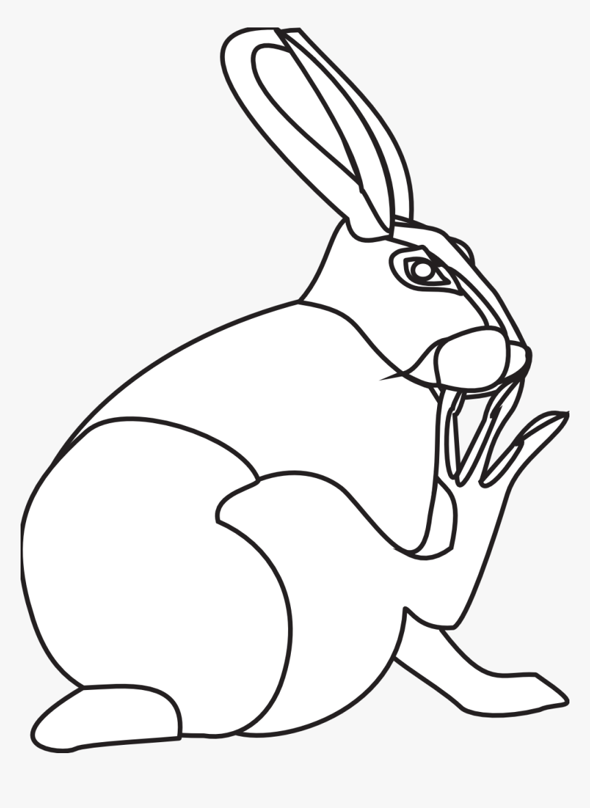 Domestic Rabbit, HD Png Download, Free Download