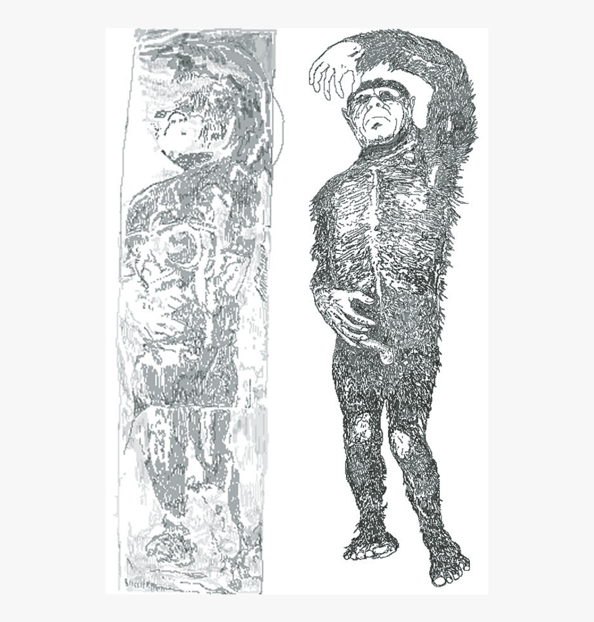 A Depiction Of The Minnesota Iceman, As Described By - Ice Man Scooby Doo, HD Png Download, Free Download