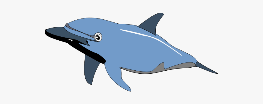 Dolphin Enrique Meza C 01 Svg Clip Arts - Dolphin Clip Art, HD Png Download, Free Download