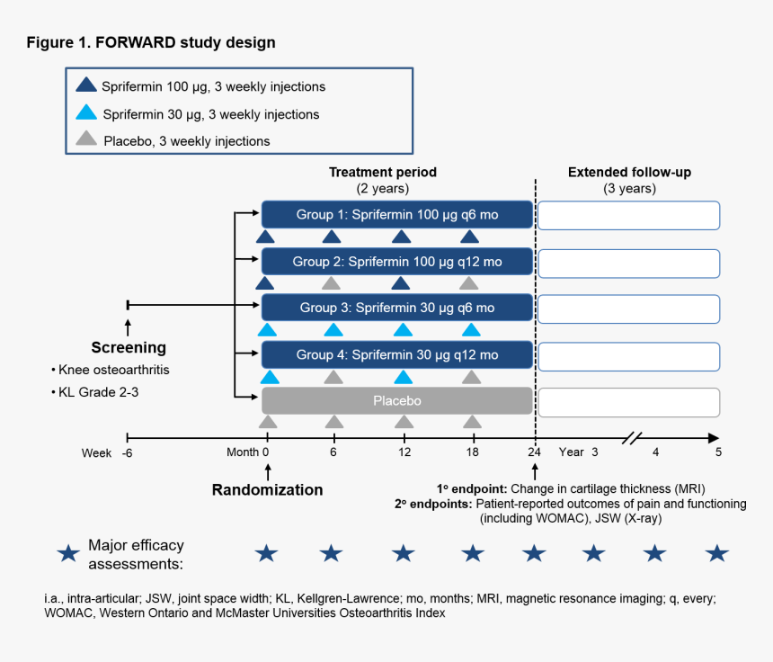 Efficacy And Safety Of Intra Articular Sprifermin, HD Png Download, Free Download