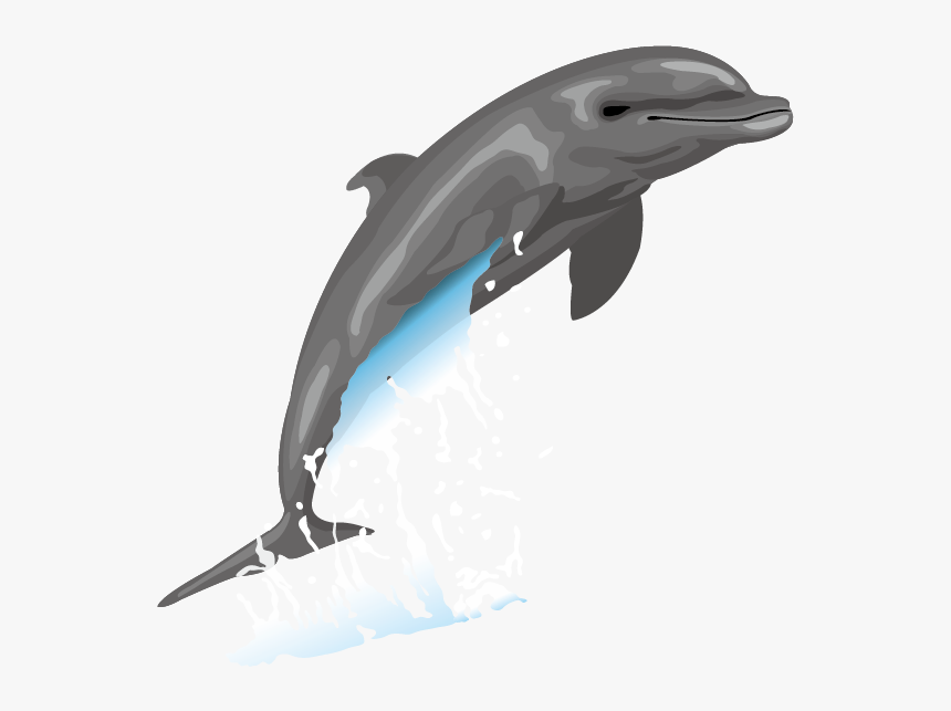 Dolphin Free Content Drawing Clip Art - Vector Dolphins Clipart Png, Transparent Png, Free Download