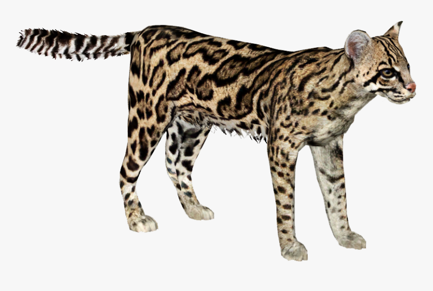 Zt2 Ocelot , Png Download - Ocelot Png, Transparent Png, Free Download