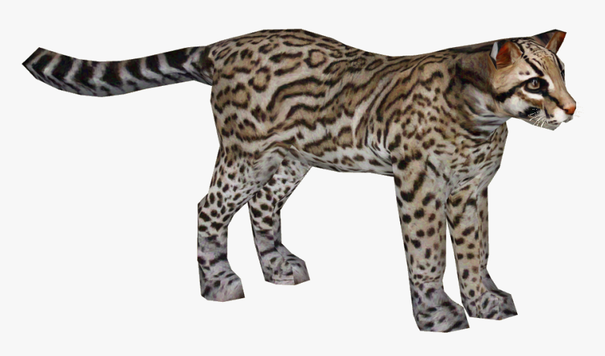 Ocelot - Ocelot Transparent, HD Png Download, Free Download