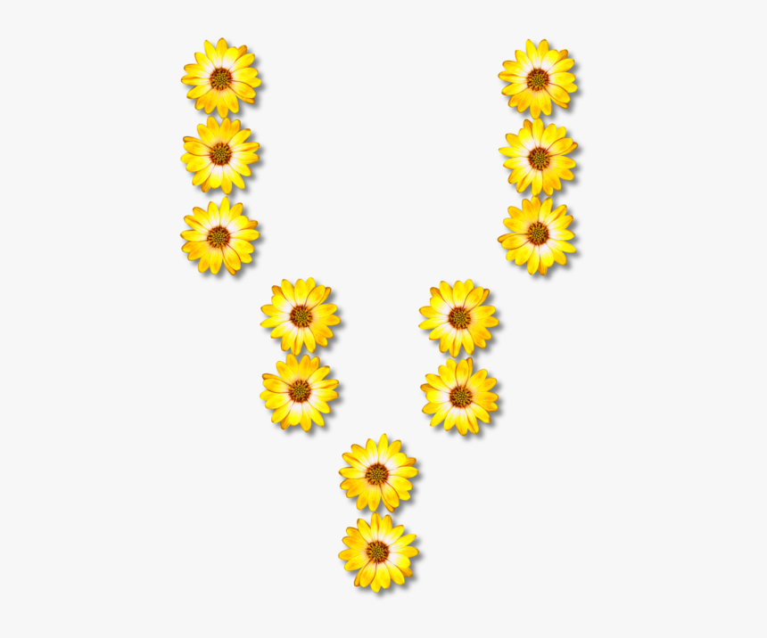 Sunflower Seed,plant,flower - Alphabet Png Floral, Transparent Png, Free Download