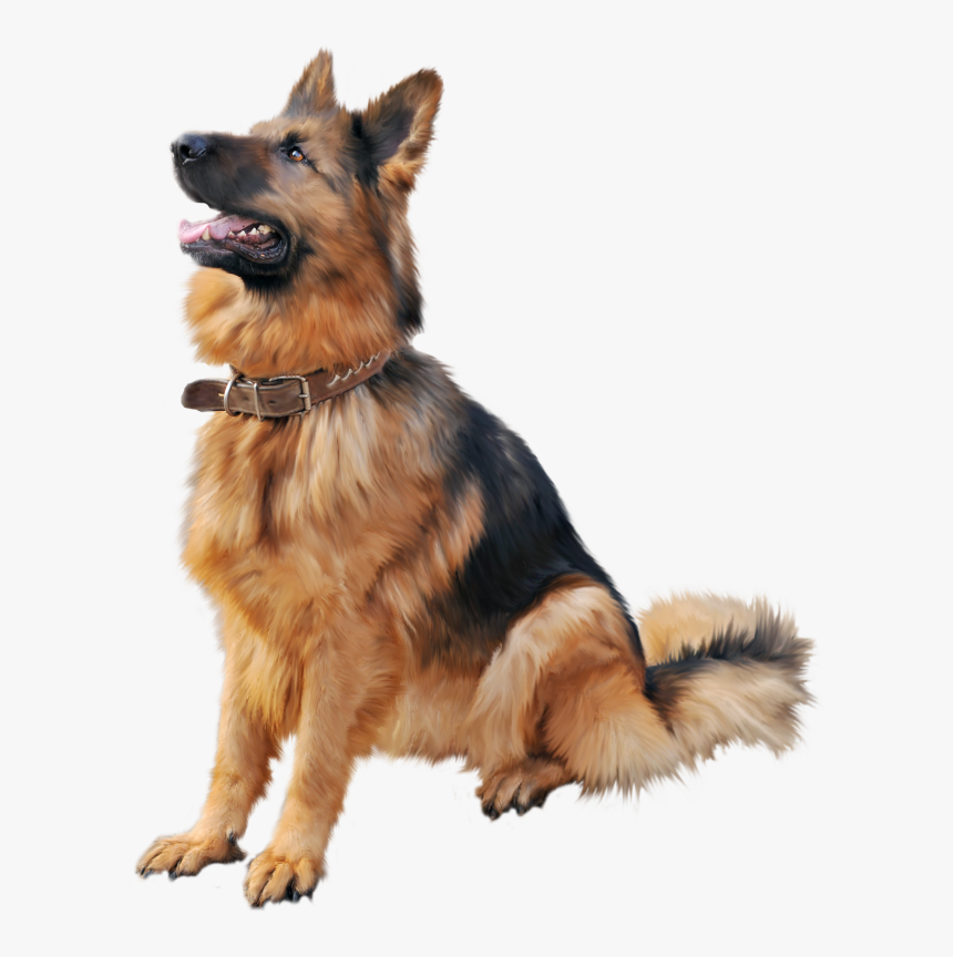 German Shepherd Dog Png Clipart - German Shepherd Dog Png, Transparent Png, Free Download