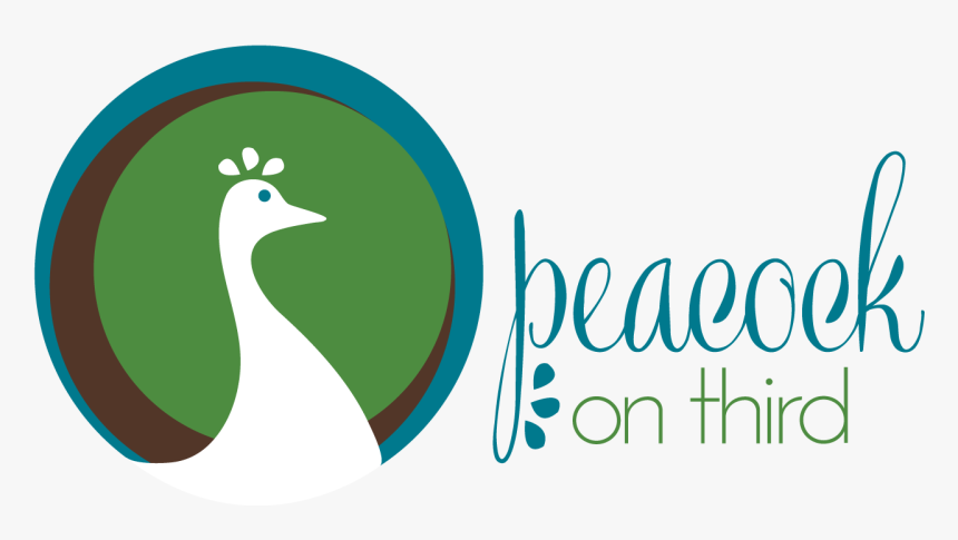 Peacock Logo Png, Transparent Png - kindpng