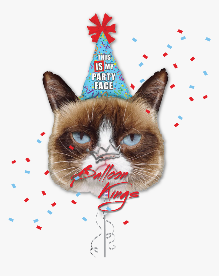 Grumpy Cat - Grumpy Cat Party Face, HD Png Download, Free Download
