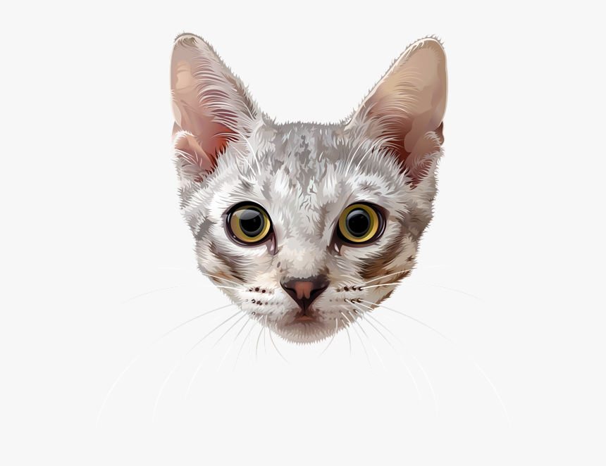 Cat Face Png - Transparent Background Cat Face Transparent, Png Download, Free Download