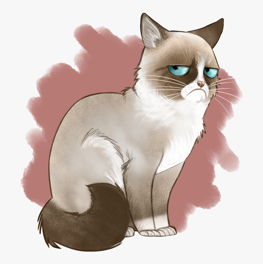 Angry Cute Cat Illustration, Illustration Paint, Cute Characters, Angry Cat  PNG Transparent Clipart Image and PSD File for Free Download