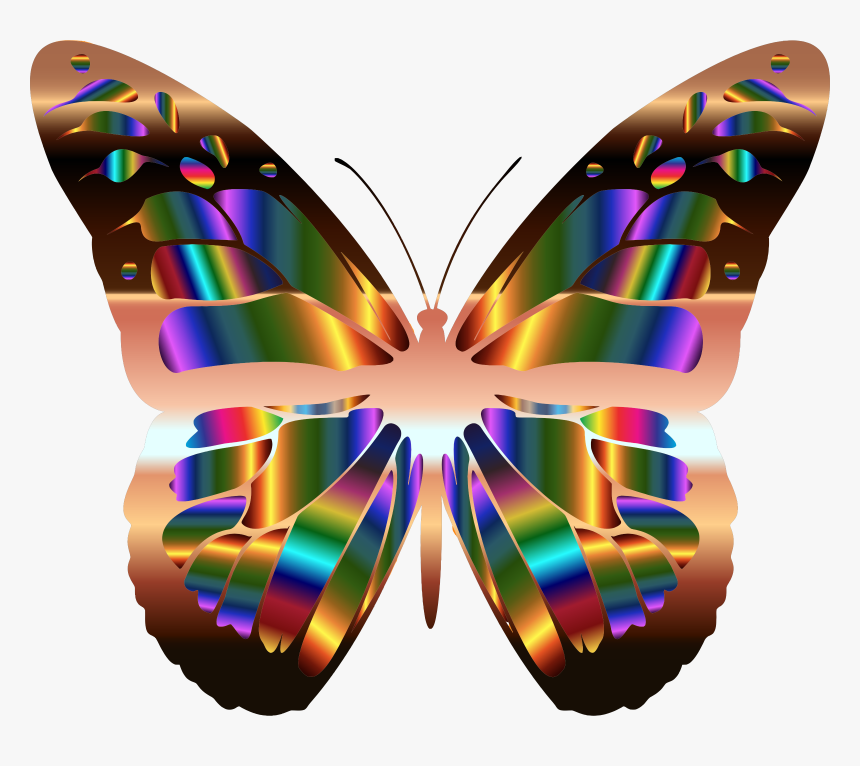 Iridescent Monarch Butterfly 20 Clip Arts - Clip Art Butterfly, HD Png Download, Free Download