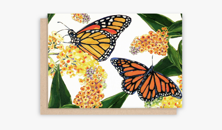 Monarch Butterfly, HD Png Download, Free Download