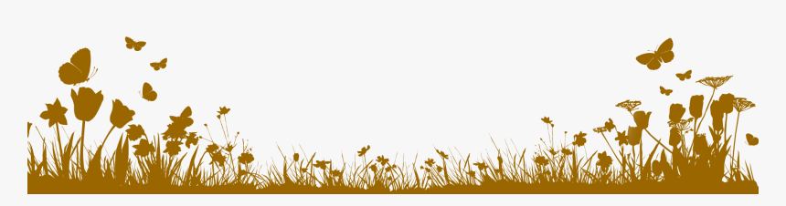 Golden Border Design Png, Transparent Png, Free Download