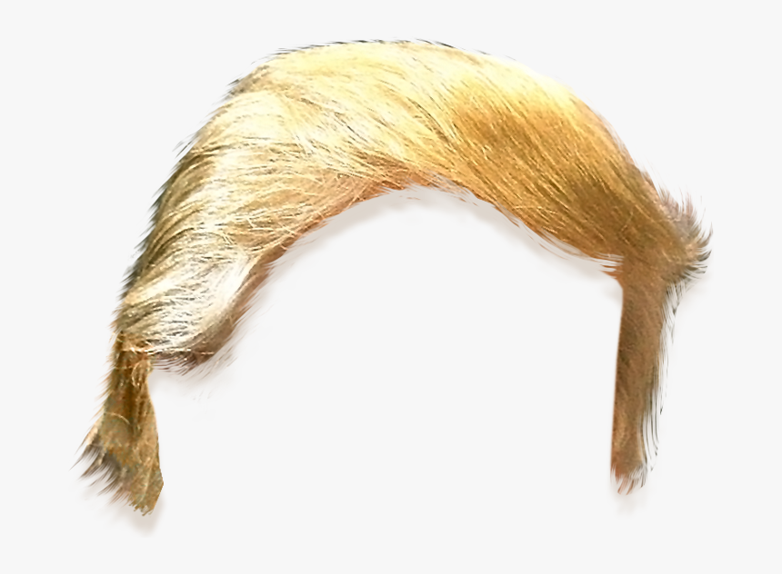 Toupee Png - Trump Hair Png, Transparent Png, Free Download