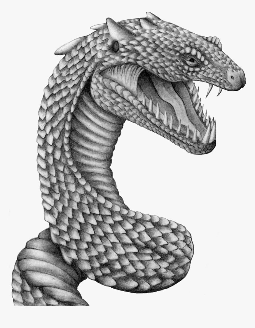 Transparent White Snake Png - Harry Potter Creature Drawings, Png Download, Free Download