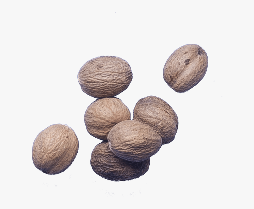 Nut, HD Png Download, Free Download