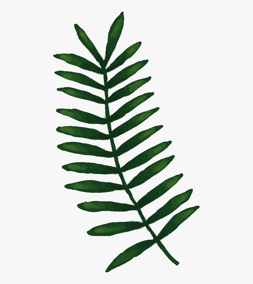 Transparent Bean Plant Png - Sorbus, Png Download, Free Download