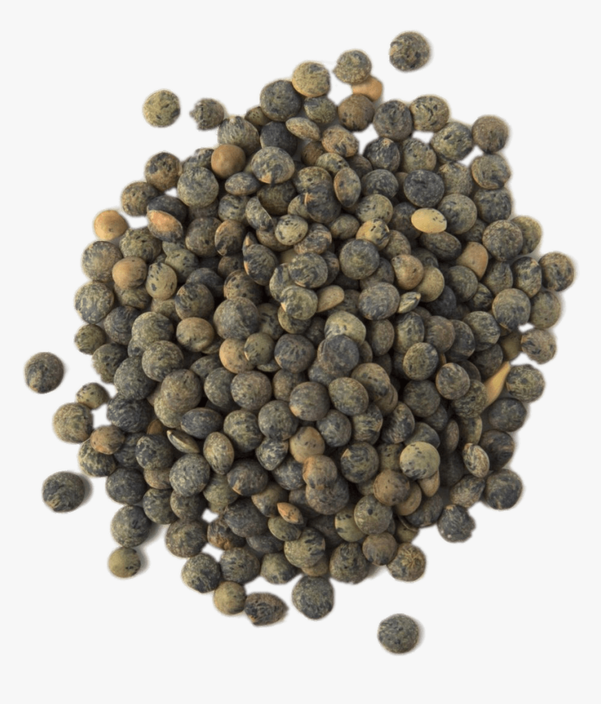 Puy Lentils - Lentils Png, Transparent Png, Free Download