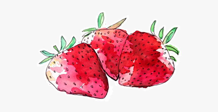 Fruit Watercolour Png, Transparent Png, Free Download