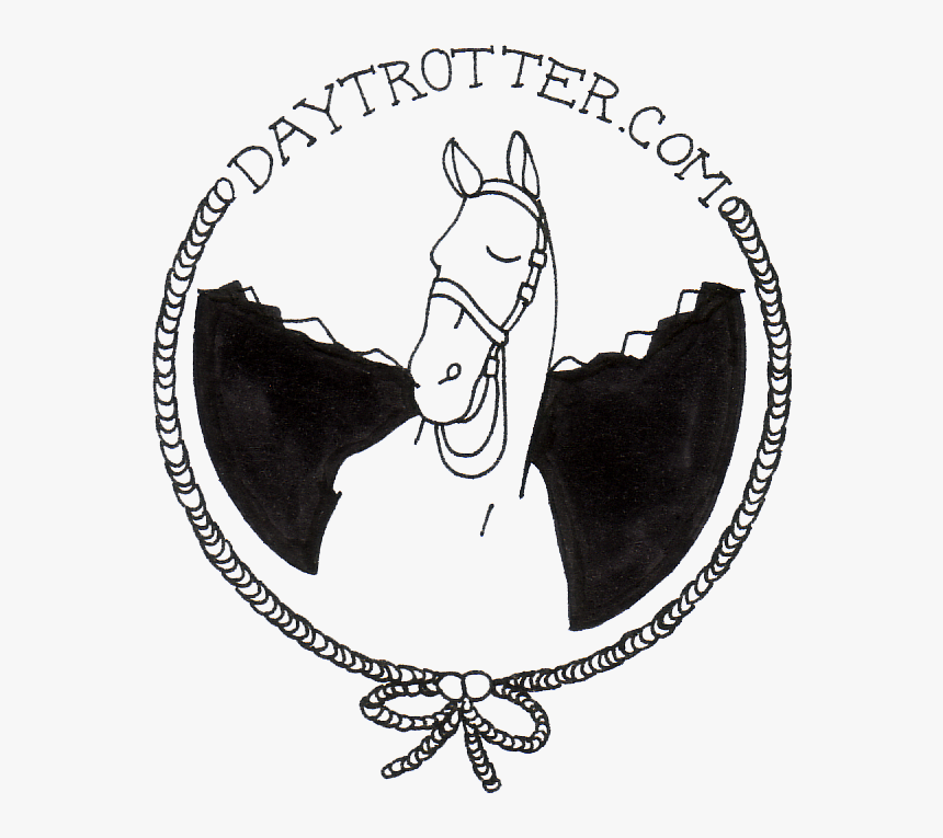 Daytrotterlogo - Daytrotter Sessions, HD Png Download, Free Download