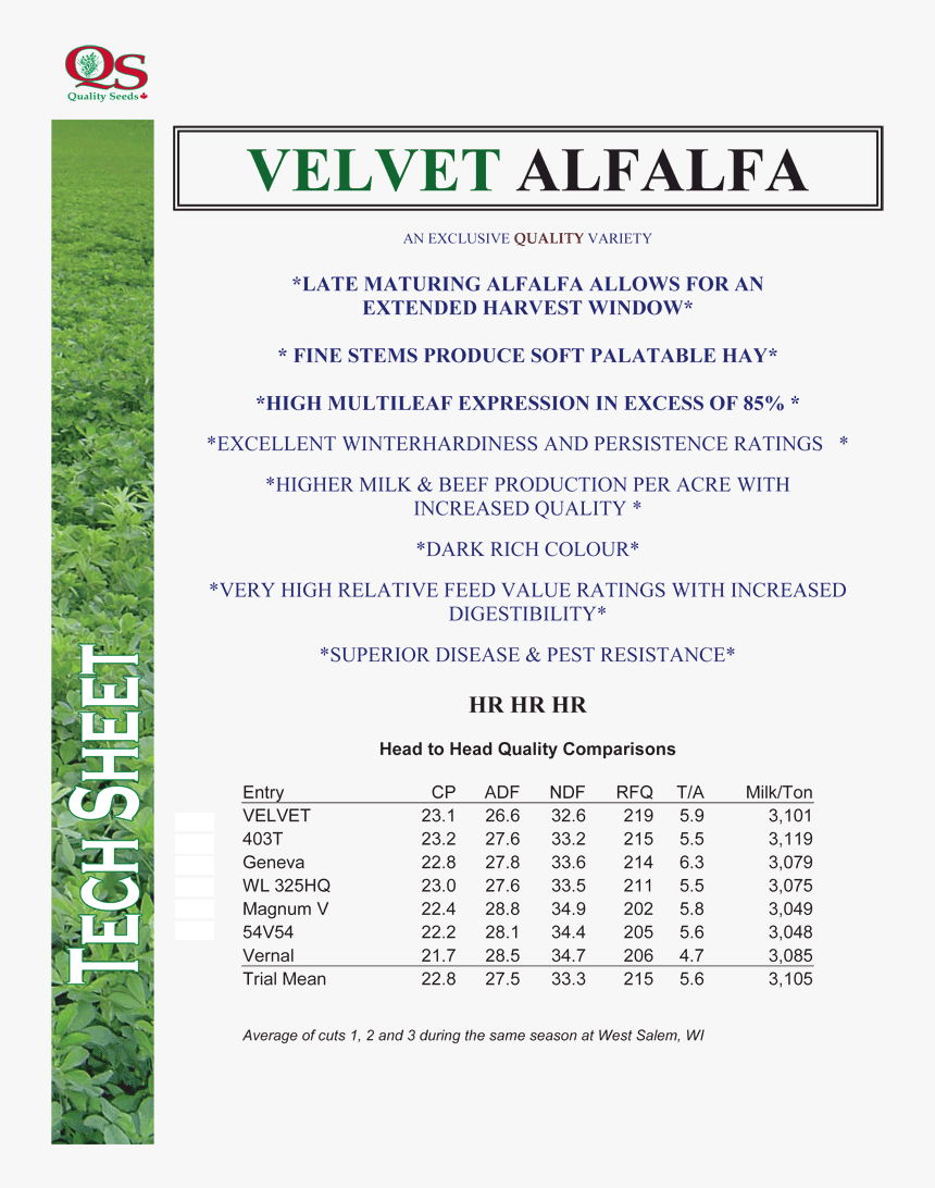 Velvet-alfalfa - Alfalfa, HD Png Download, Free Download