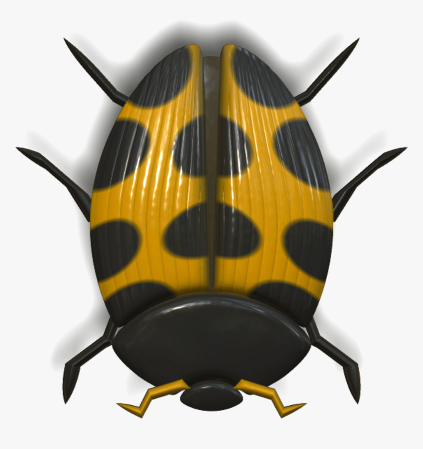 Ladybug Orange And Black - Ladybird Beetle, HD Png Download, Free Download