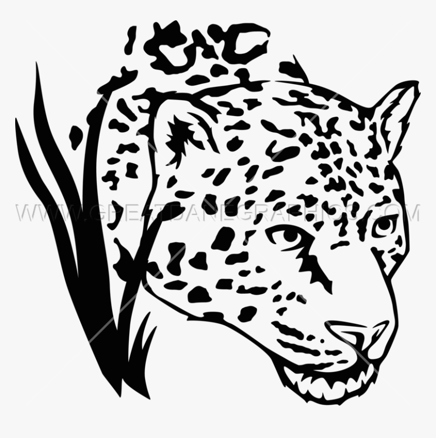 Png Black And White Head Drawing At Getdrawings Com - Jaguar Png Black And White Head, Transparent Png, Free Download