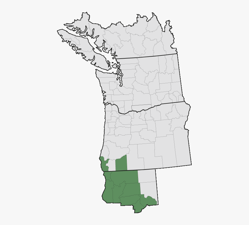 Transparent Wally West Png - Poison Hemlock Pacific Northwest Range Map, Png Download, Free Download