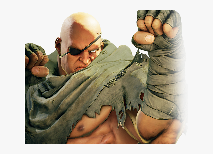 Satsui No Hado Sagat, HD Png Download, Free Download