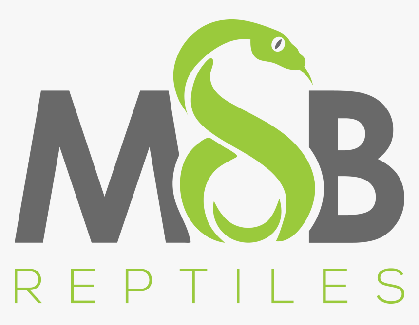 Msb Reptiles - Graphic Design, HD Png Download, Free Download